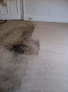 Carpet cleaning glenburn